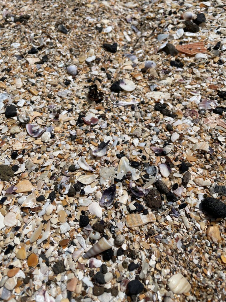 Devonport Beach, Auckland New Zealand.